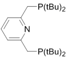 338800-13-8 H13716 2,6-Bis((di-tert-butylphosphino)methyl)pyridine
2,6-双((二叔丁基膦基)甲基)吡啶