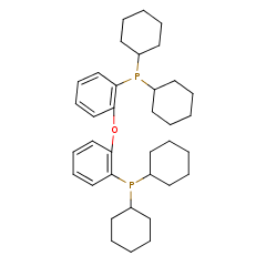 434336-16-0 H55746 Bis(2-dicyclohexylphosphinophenyl)ether
双(二环己基膦基苯基)醚