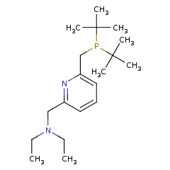 863971-66-8 H60267 N-((6-((Di-tert-butylphosphino)methyl)pyridin-2-yl)methyl)-N-ethylethanamine
N-((6-((二叔丁基膦基)甲基)吡啶-2-基)甲基)-N-乙基乙胺