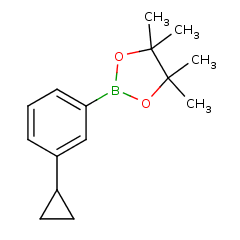 627526-56-1 H58397 2-(3-Cyclopropylphenyl)-4,4,5,5-tetramethyl-1,3,2-dioxaborolane
2-(3-环丙基苯基)-4,4,5,5-四甲基-1,3,2-二恶硼烷