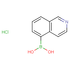 371766-08-4 Bellen00000444 isoquinolin-5-yl-5-boronic acid	isoquinolin-5-yl-5-boronic acid