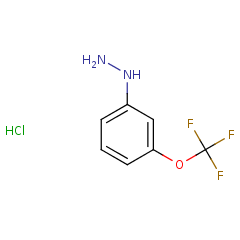 133115-55-6 Bellen10017448 (3-TRIFLUOROMETHOXY-PHENYL)-HYDRAZINE HYDROCHLORIDE3-(三氟甲氧基)苯肼盐酸盐