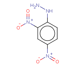 119-26-6 HXYJ0000000458 2,4-DINITROPHENYLHYDRAZINE	2,4-二硝基苯肼