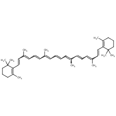 7235-40-7 H25022 Natrualβ-Carotene	β-胡萝卜素