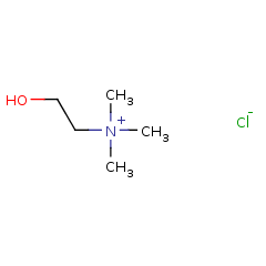 67-48-1 H51995 Choline chloride	氯化胆碱