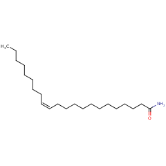 112-84-5 H56056 Erucamide
芥酸酰胺