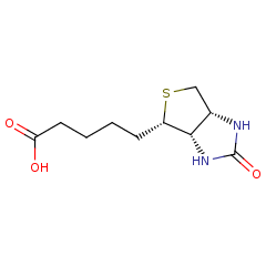 58-85-5 H67169 D-Biotin	D-生物素