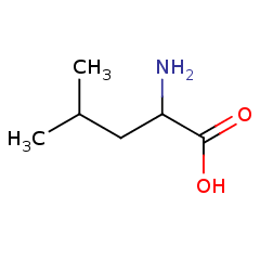 328-39-2 H73412 DL-leucine	DL-亮氨酸